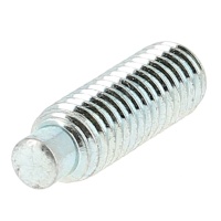 SCHH Punta Pivote Acero 14.9 Galvanizado Blanco Din 915