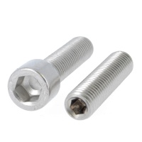 Tornillo con Hexágono Interior